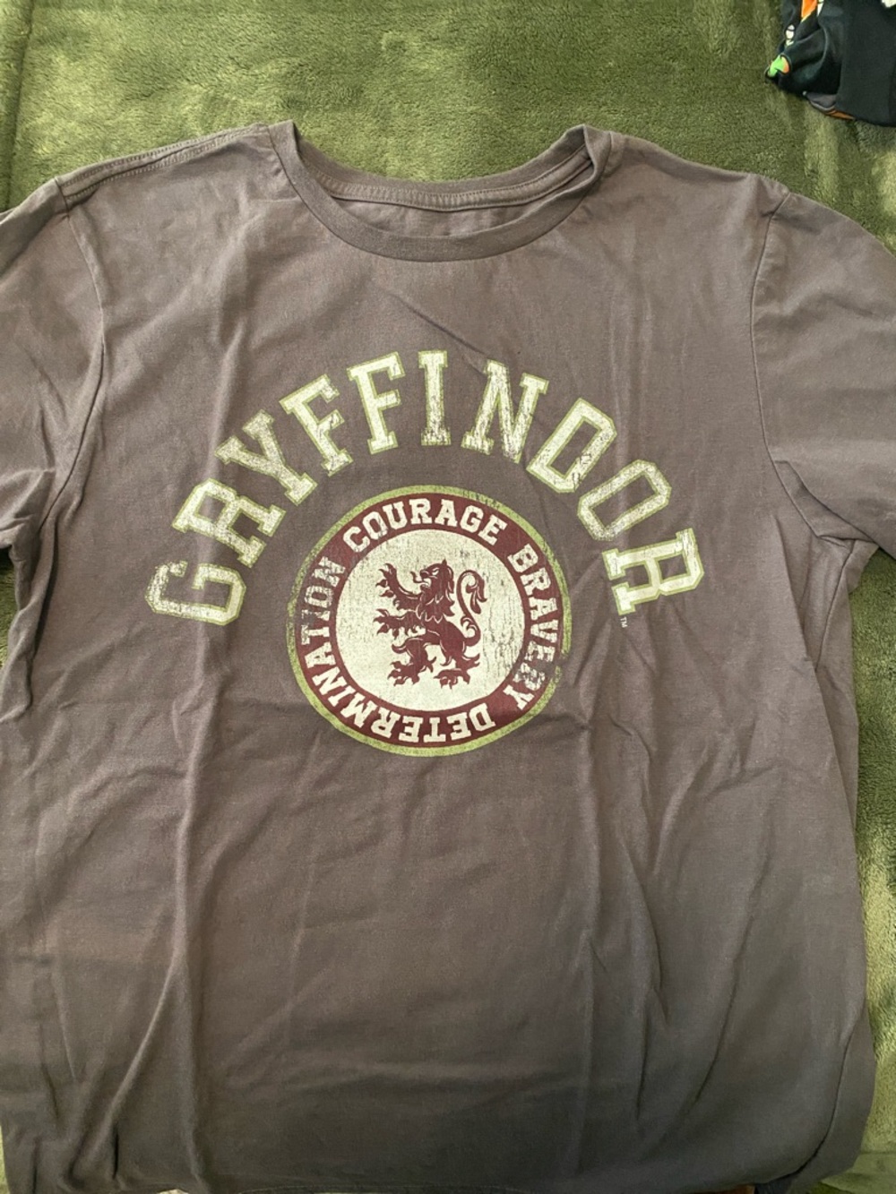 Warner Bros. Gryffindor Graphic Short Sleeve Tee